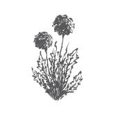 No added