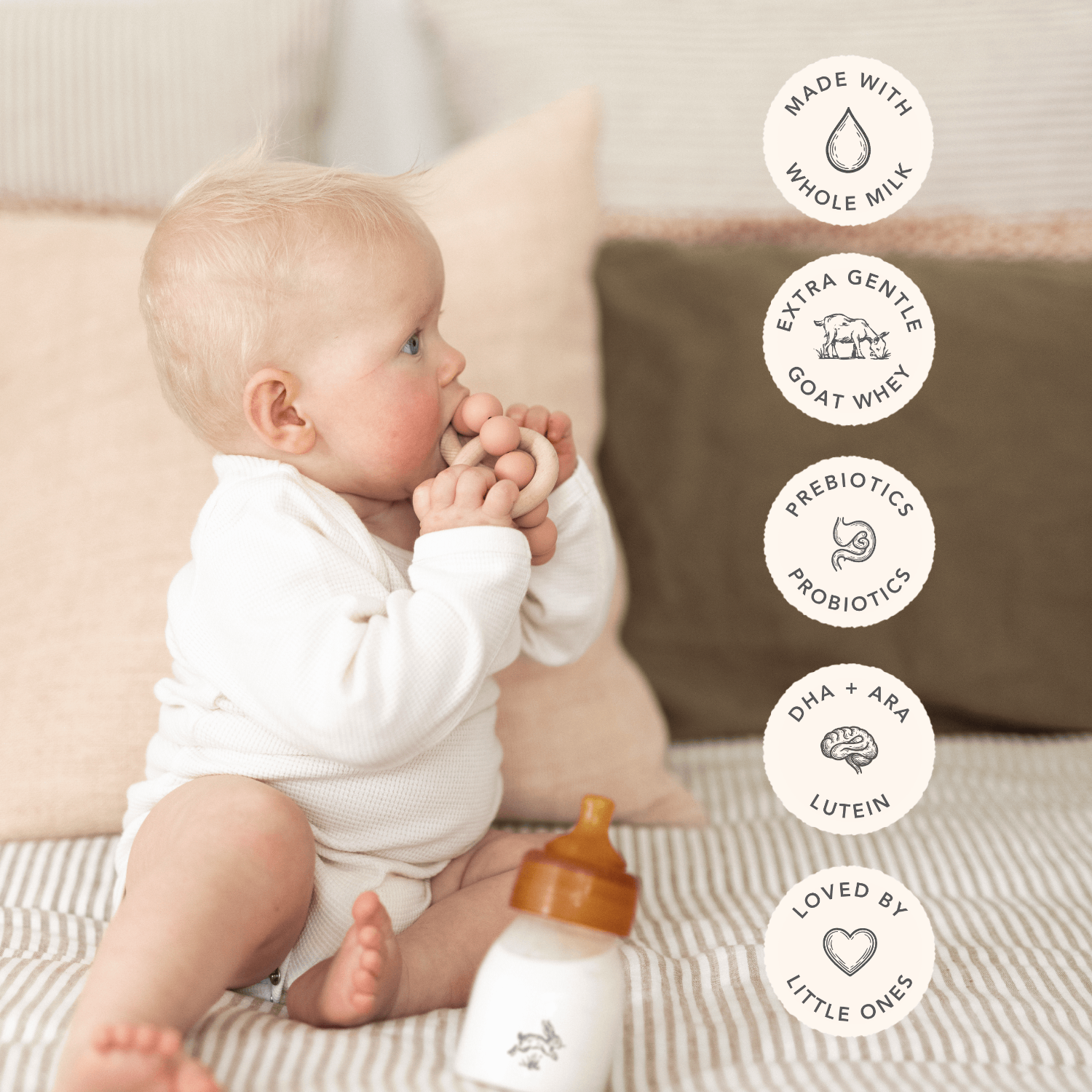 Haven Goat Infant Formula