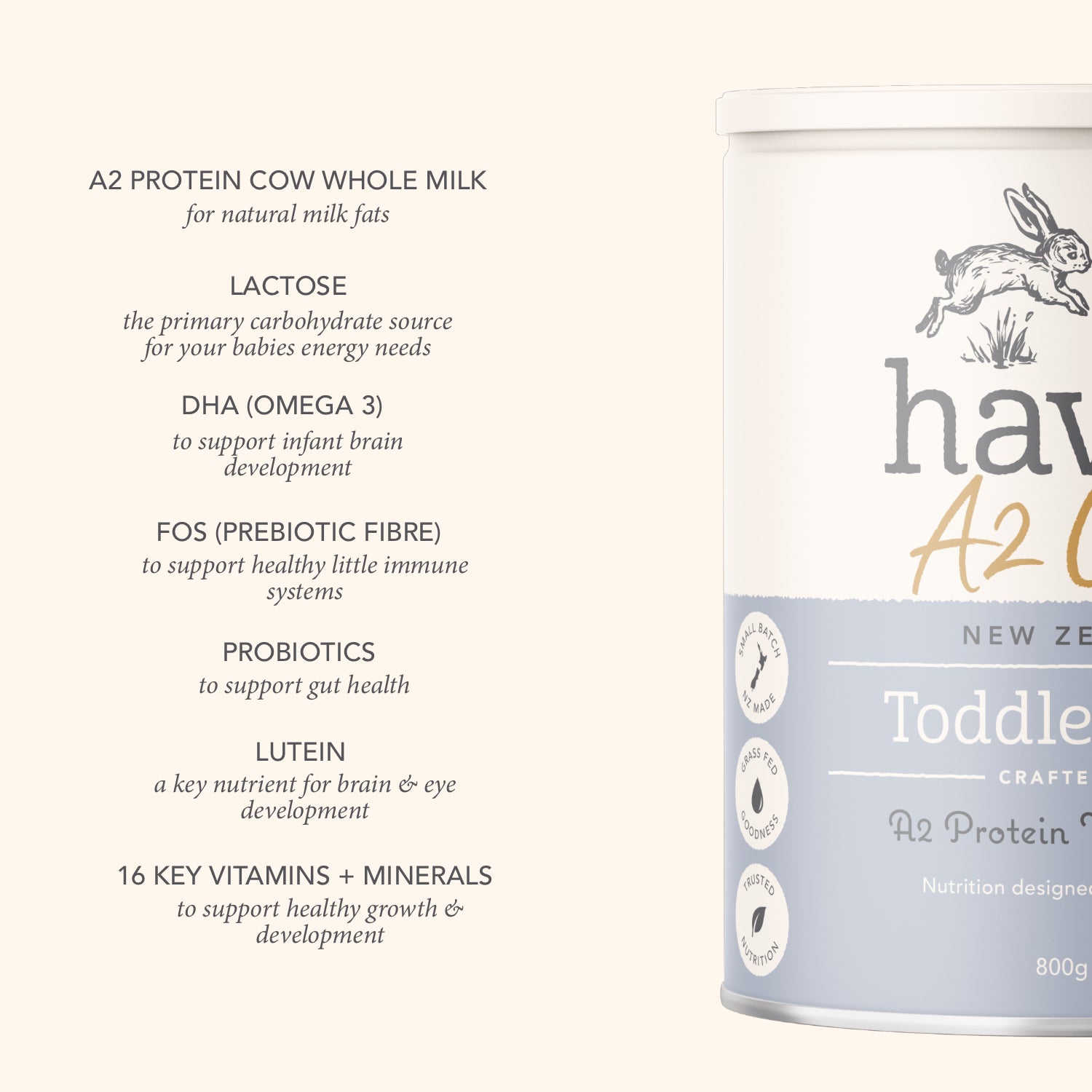 Haven A2 Cow Toddler Milk