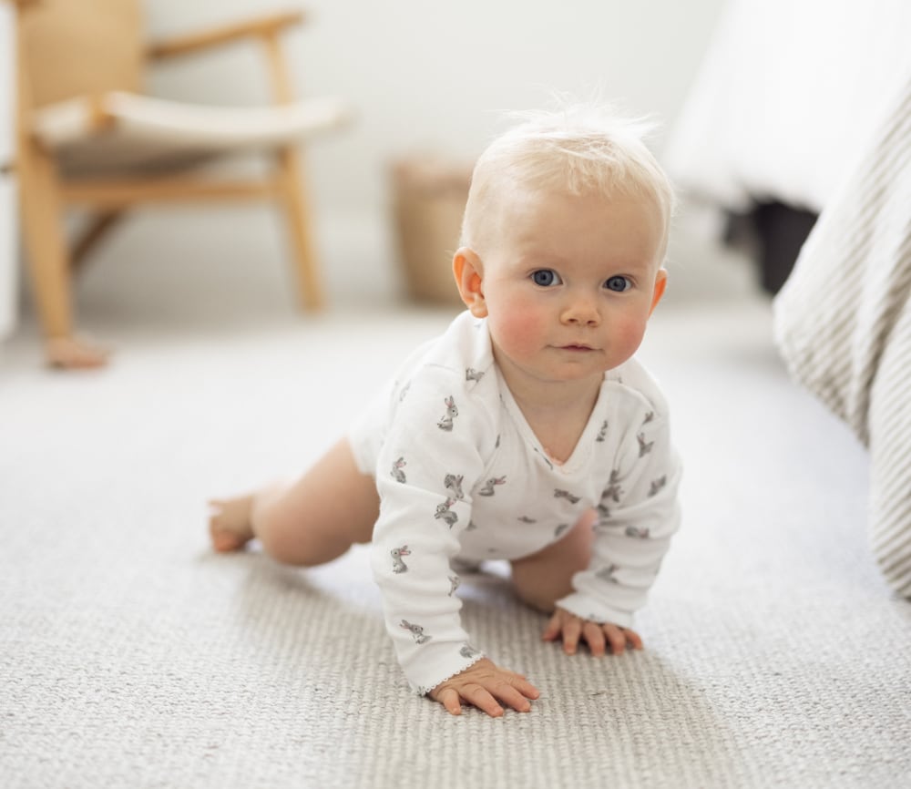 Baby - 6 to 12 Months