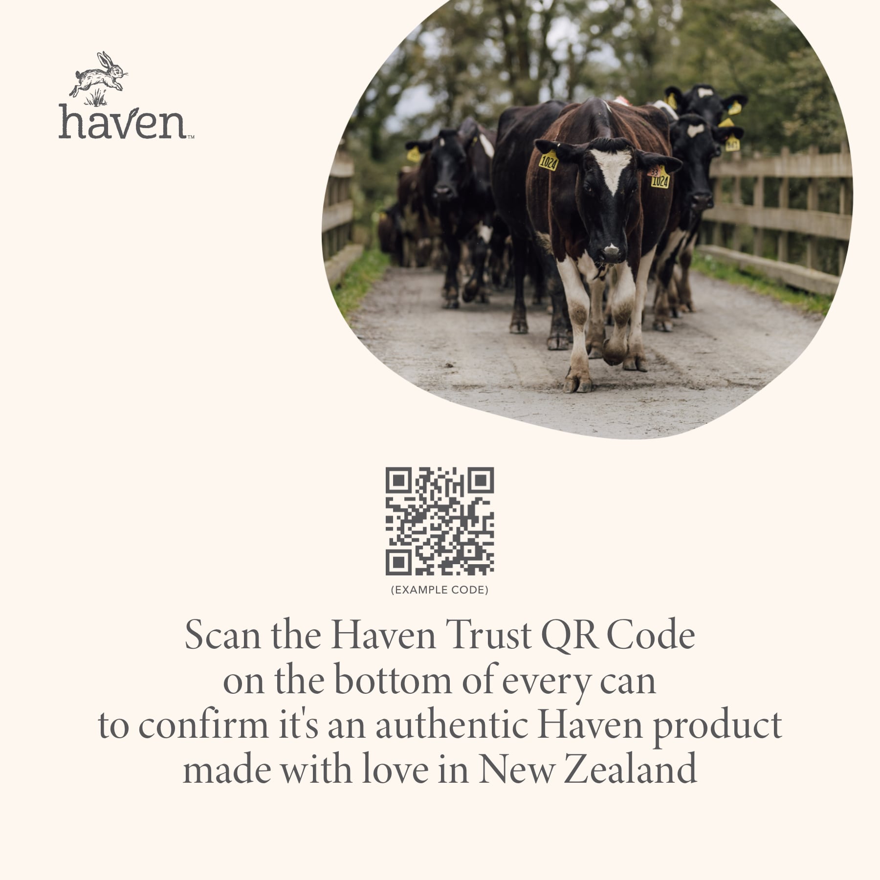 Haven A2 Cow Follow-On Formula